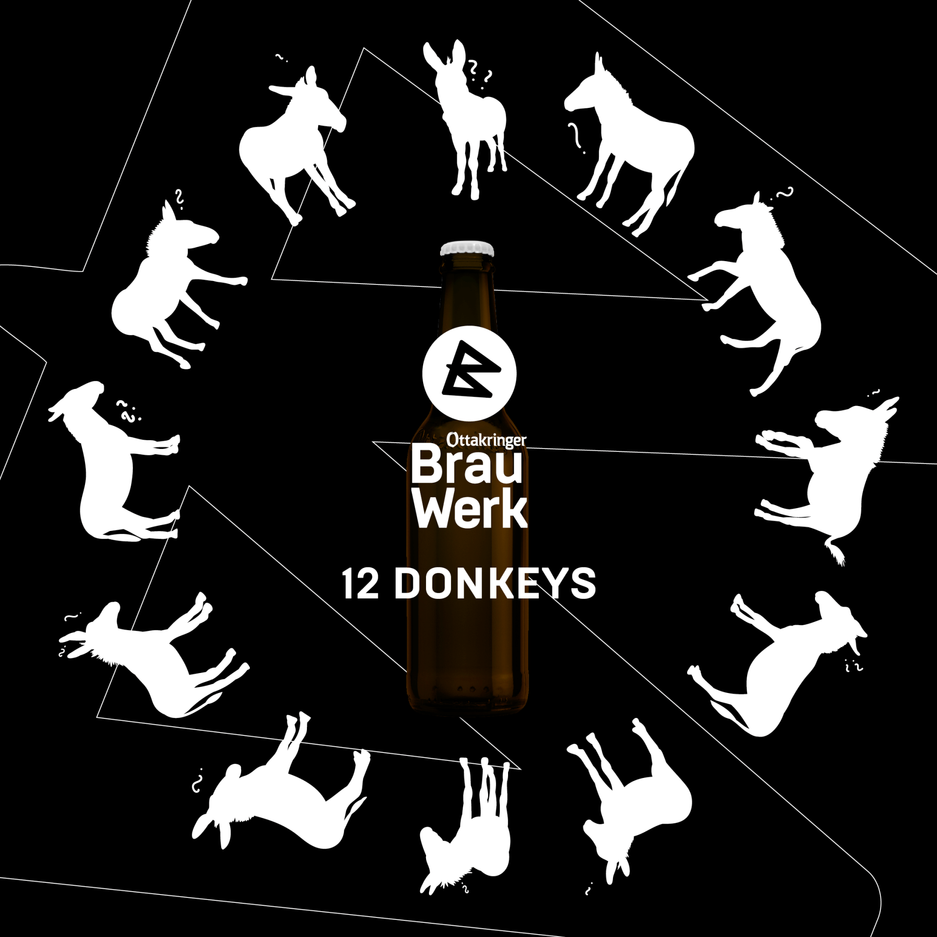 12 DONKEYS – MEHR ESEL BRAUCHT DAS LAND!